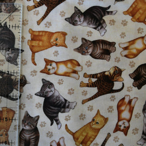 Kitten Toss, multi - cotton fabric